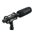 Black BOYA BM6060L shotgun microphone in suspension mount with BOYA-branded foam windshield